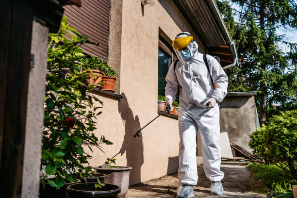 Best Termite Control Services  in Grand Coulee, WA