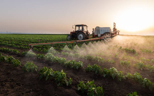 Best Pest Removal Services  in Grand Coulee, WA