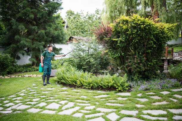 Best Wasp Removal Services  in Grand Coulee, WA