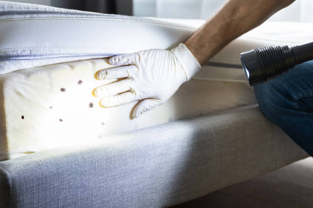 Best Flea Control Services  in Grand Coulee, WA